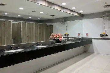Bathroom Cleaning